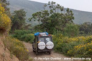 Ol Doinyo Lengaï Area - Tanzania