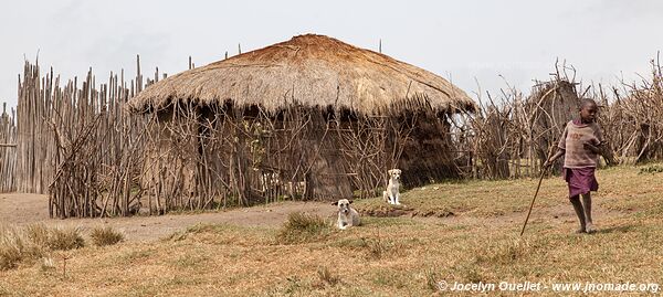 Région de l'Ol Doinyo Lengaï - Tanzanie