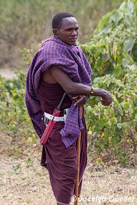 Région de l'Ol Doinyo Lengaï - Tanzanie