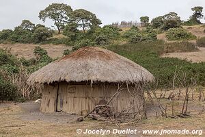 Ol Doinyo Lengaï Area - Tanzania