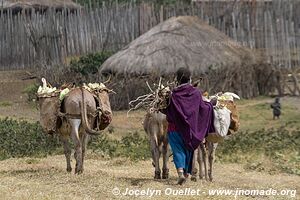 Région de l'Ol Doinyo Lengaï - Tanzanie