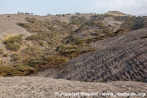 Ol Doinyo Lengaï Area - Tanzania