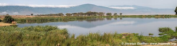 Aire de conservation du Ngorongoro - Tanzanie