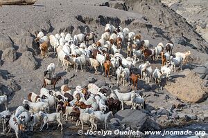 Engare Sero Waterfall - Lake Natron Area - Tanzania