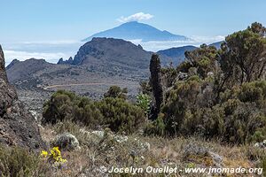 Kilimanjaro National Park - Tanzania