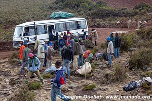 Parc national du Kilimandjaro - Tanzanie