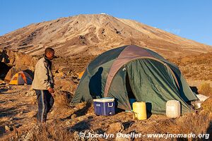 Parc national du Kilimandjaro - Tanzanie