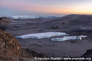 Parc national du Kilimandjaro - Tanzanie