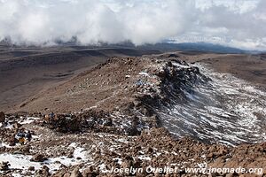 Parc national du Kilimandjaro - Tanzanie