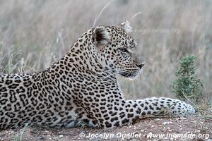 Serengeti National Park - Tanzania