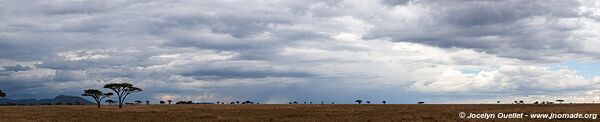 Parc national du Serengeti - Tanzanie