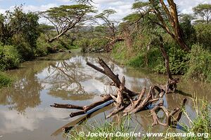 Serengeti National Park - Tanzania