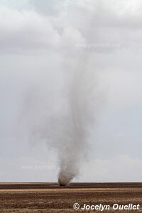 Aire de conservation du Ngorongoro - Tanzanie