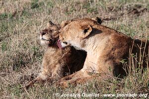 Aire de conservation du Ngorongoro - Tanzanie