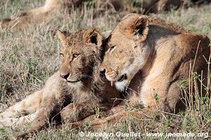 Ngorongoro Conservation Area - Tanzania