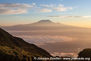 Parc national d'Arusha - Tanzanie