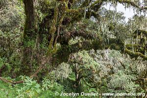 Parc national d'Arusha - Tanzanie