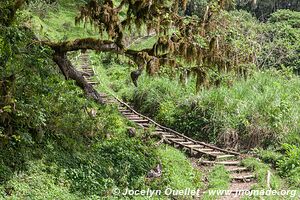 Parc national d'Arusha - Tanzanie