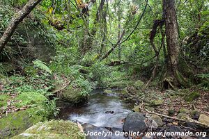 Parc national d'Arusha - Tanzanie