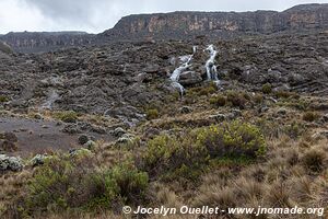 Parc national du Kilimandjaro - Tanzanie