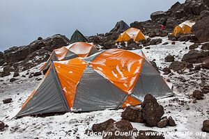 Parc national du Kilimandjaro - Tanzanie