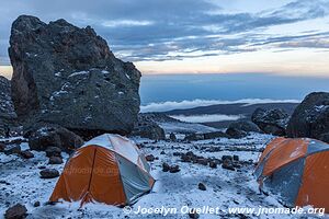 Parc national du Kilimandjaro - Tanzanie