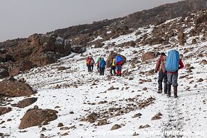 Kilimanjaro National Park - Tanzania