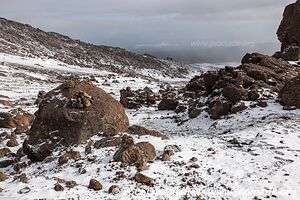 Parc national du Kilimandjaro - Tanzanie