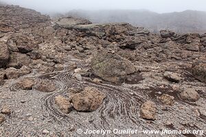 Parc national du Kilimandjaro - Tanzanie