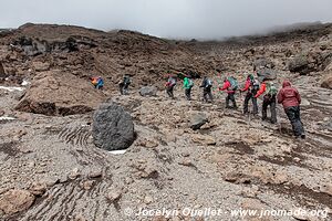 Parc national du Kilimandjaro - Tanzanie