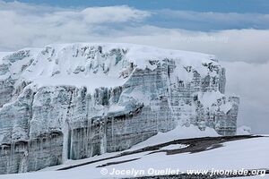 Parc national du Kilimandjaro - Tanzanie