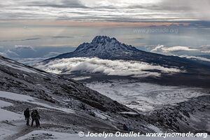 Parc national du Kilimandjaro - Tanzanie