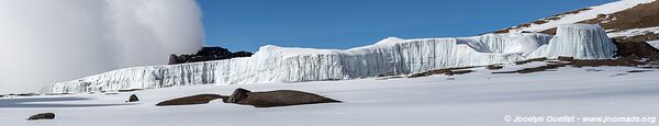 Parc national du Kilimandjaro - Tanzanie