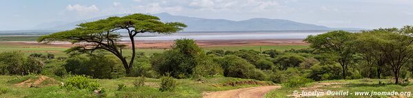 Parc national de Manyara - Tanzanie