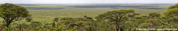 Parc national du Serengeti - Tanzanie