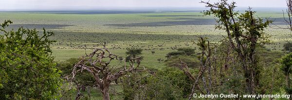 Serengeti National Park - Tanzania