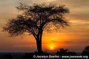 Serengeti National Park - Tanzania