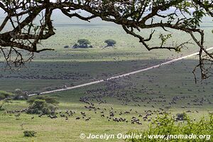 Serengeti National Park - Tanzania