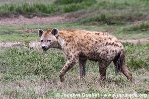 Serengeti National Park - Tanzania