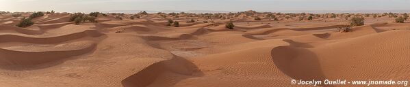 Rando dans l'Erg Sahel - Maroc