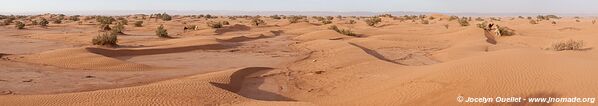 Trek in Erg Sahel - Morocco