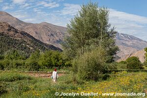 Trek from Aït Bouguemez to the Anergui Valley - Morocco