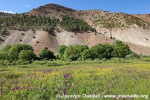 Trek from Aït Bouguemez to the Anergui Valley - Morocco