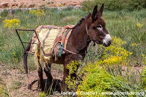 Trek from Aït Bouguemez to the Anergui Valley - Morocco