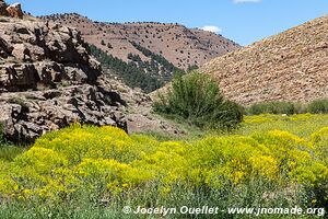 Trek from Aït Bouguemez to the Anergui Valley - Morocco