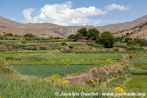 Trek from Aït Bouguemez to the Anergui Valley - Morocco