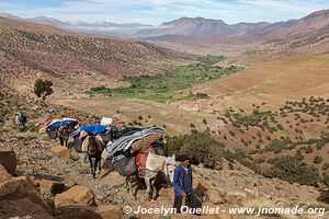 Rando de Aït Bouguemez à la vallée de l'Anergui - Maroc