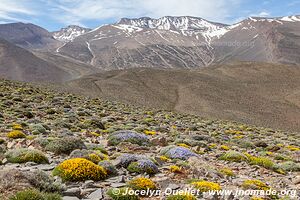 Rando de Aït Bouguemez à la vallée de l'Anergui - Maroc