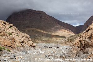 Trek from Aït Bouguemez to the Anergui Valley - Morocco