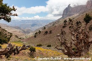 Trek from Aït Bouguemez to the Anergui Valley - Morocco